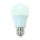 6W Led körte égő hideg fehér